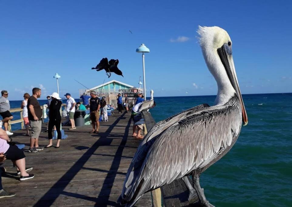 Fort Lauderdale Guest House 外观 照片